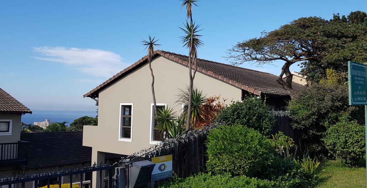 Crooked Tree Cottage Durban Buitenkant foto